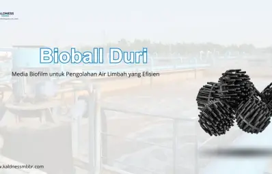 Bioball Duri